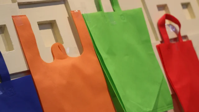 毎日の買い物用エコなスパンボンドバッグ