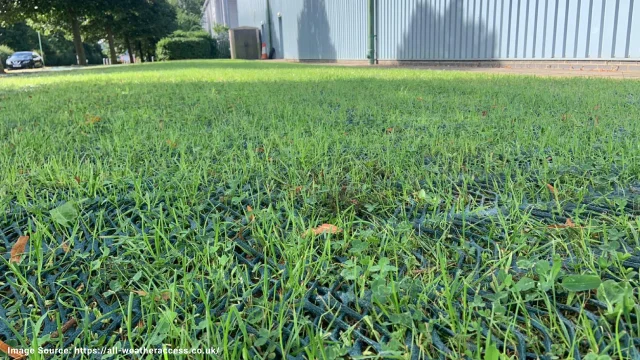 芝生補強ネット：植物保護のソリューション